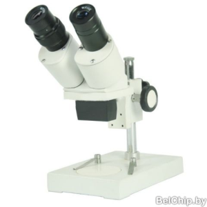 Изображение Микроскоп бинокулярный L-KLS22-T2A / микроскоп 10Х/40Х