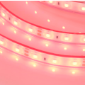 Светодиодная лента RTW-PFS-A60-11mm12V Red (4.8 W/m, IP68, 2835, 5m)