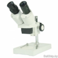 изображение L-KLS22-T2A / микроскоп 10Х/40Х